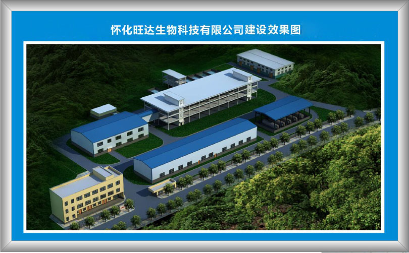 华体会在线,华体会在线(中国)